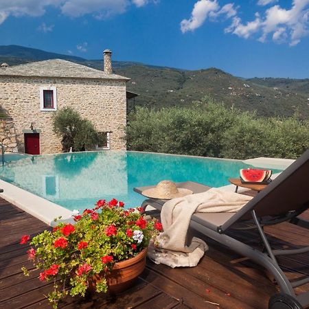 Villa Andromachi By Pelion Esties Ano Gatzea Extérieur photo